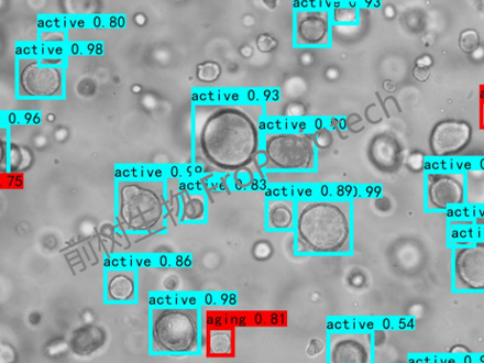 AI赋能高通量药敏检测